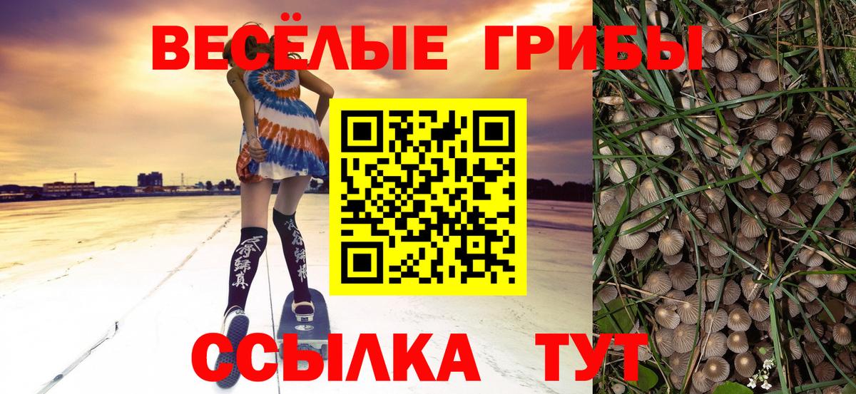 Галлюциногенные грибы ЛСД Апшеронск
