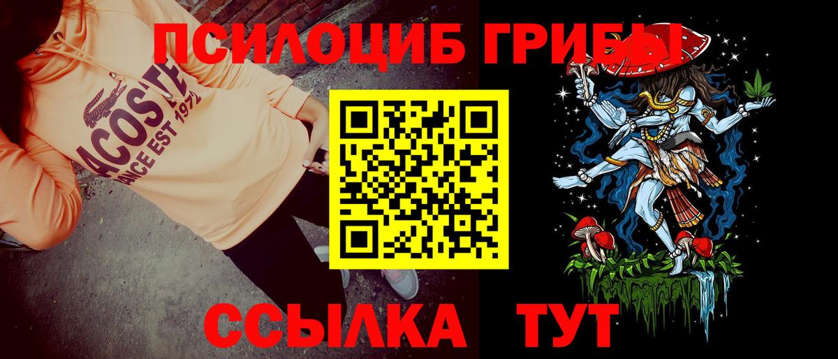 Псилоцибиновые грибы Psilocybine cubensis  Вход с VPN  наркошоп  Апшеронск 